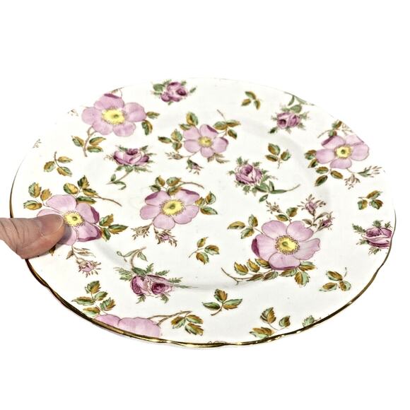 Royal Tuscan Fine Bone China Plate Decorative British Columbia Pink Dogwood - Picture 2 of 5